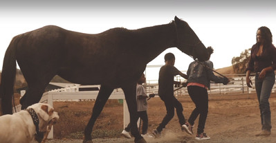 kids walking the horse.jpg